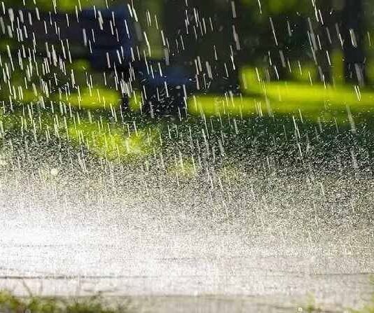 छिंदवाड़ा जिले में अभी तक 726.1 मि.मी. औसत वर्षा दर्ज।