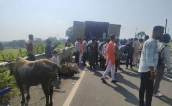 विश्व हिंदू परिषद -बजरंग दल के कार्यकर्ताओं ने गोवंश से भरे कन्टेनर पकड़ा